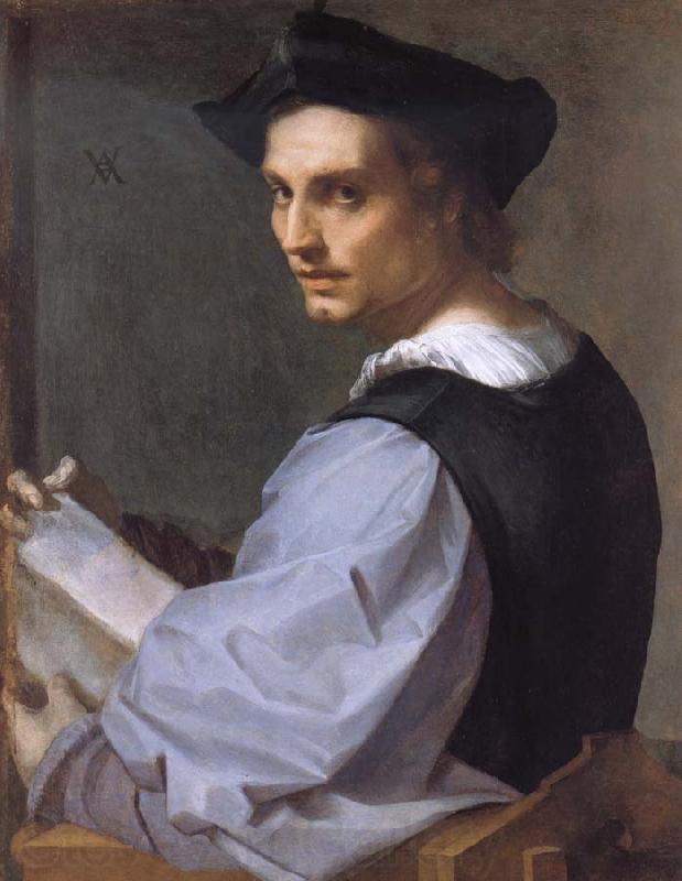 Andrea del Sarto Portrait of a Young Man